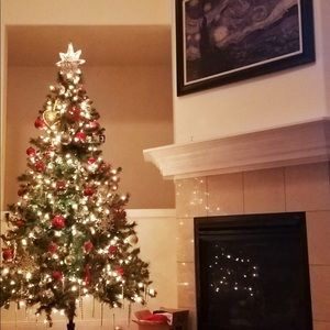 Meet your Posher, Gursharan